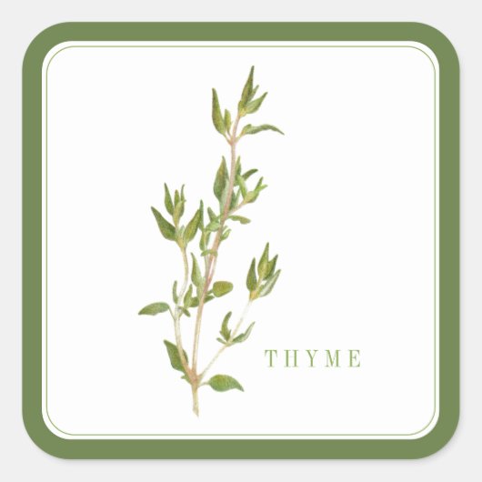 FRESH THYME Grote Vierkante Stickers - Groen (Voorkant)