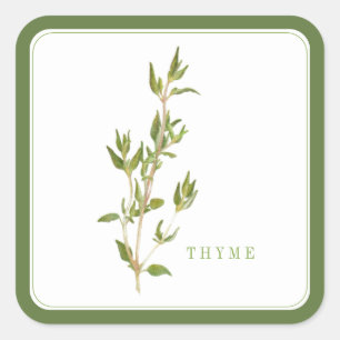 FRESH THYME Grote Vierkante Stickers - Groen