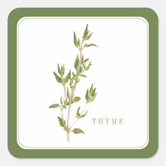 FRESH THYME Kleine vierkante Stickers - Groen (Voorkant)
