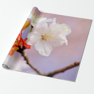 Fresh White Cherry Blossom Cute Sakura Beauties Cadeaupapier