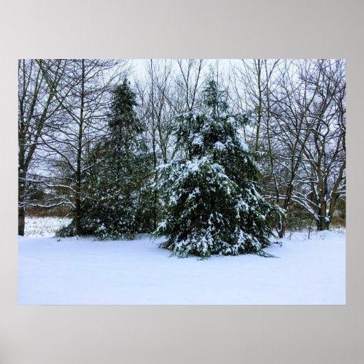 Fresh Winter Snow Poster (Voorkant)