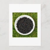 Freshly Picked Blackcurrants Briefkaart (Voorkant)