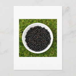 Freshly Picked Blackcurrants Briefkaart