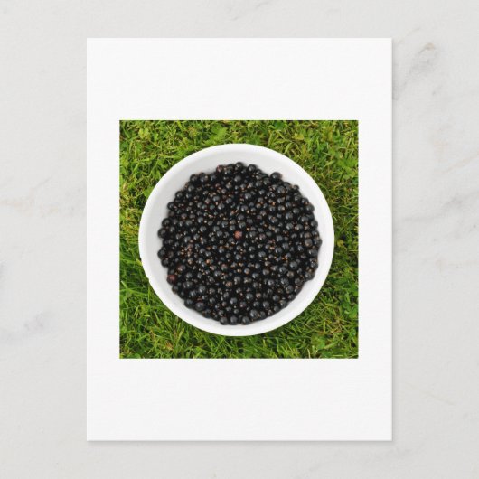 Freshly Picked Blackcurrants Briefkaart (Voorkant)