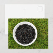 Freshly Picked Blackcurrants Briefkaart (Voorkant / Achterkant)