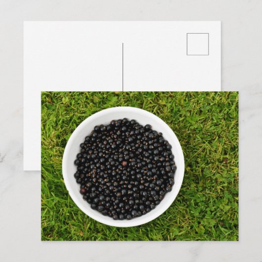 Freshly Picked Blackcurrants Briefkaart (Voorkant / Achterkant)