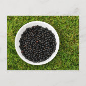 Freshly Picked Blackcurrants Briefkaart (Voorkant)