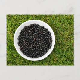 Freshly Picked Blackcurrants Briefkaart