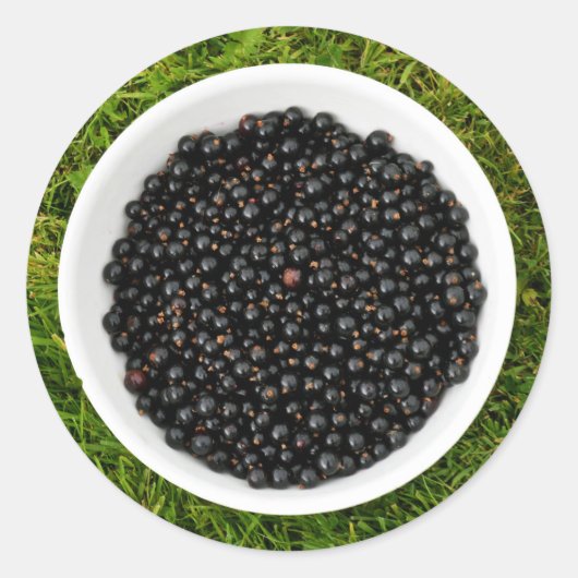 Freshly Picked Blackcurrants Ronde Sticker (Voorkant)