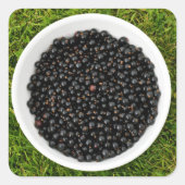 Freshly Picked Blackcurrants Vierkante Sticker (Voorkant)
