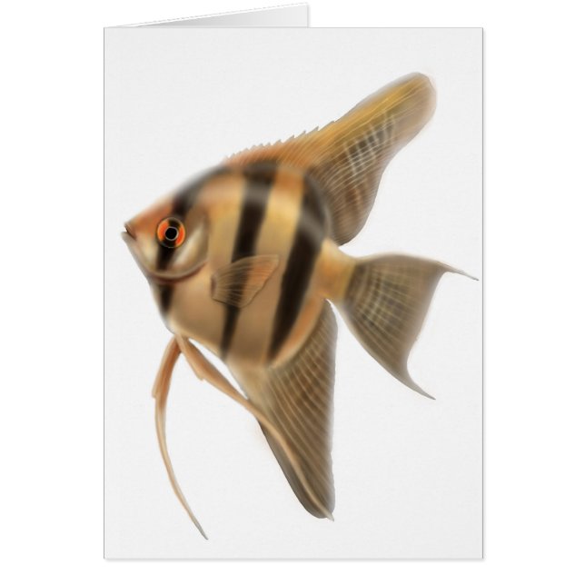 Freshwater Angelfish Card (Voorkant)