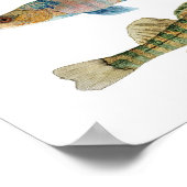 Freshwater Darters Art Poster (Hoek)