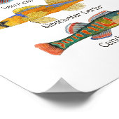 Freshwater Darters Art Poster (Hoek)