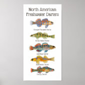 Freshwater Darters Art Poster (Voorkant)