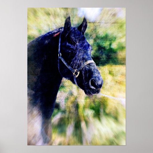 Fresian Horse Digital Art Poster (Voorkant)