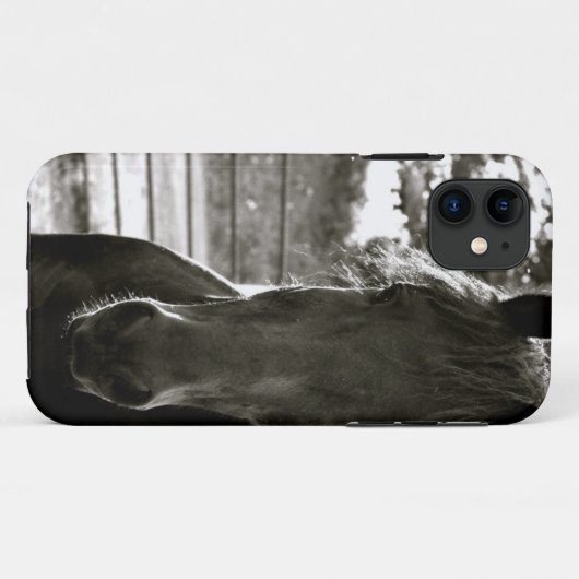Fresian Horse IPhone Case (Achterkant (horizontaal))