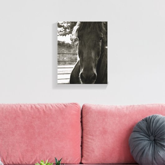 Fresian Paard Fotodoek Print (Insitu (Woonkamer))