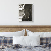 Fresian Paard Fotodoek Print (Insitu (Slaapkamer))
