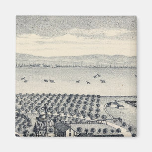 Fresno County, Californië 20 Magneet