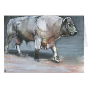 Fresno Galloway Bull