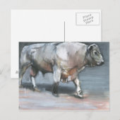 Fresno Galloway Bull Briefkaart (Voorkant / Achterkant)