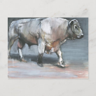 Fresno Galloway Bull Briefkaart