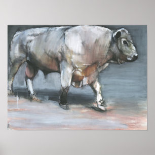 Fresno Galloway Bull Poster