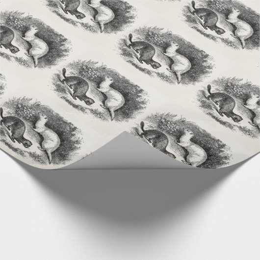  fret 1800s Fretten Weasels Minks Cadeaupapier (Hoek)