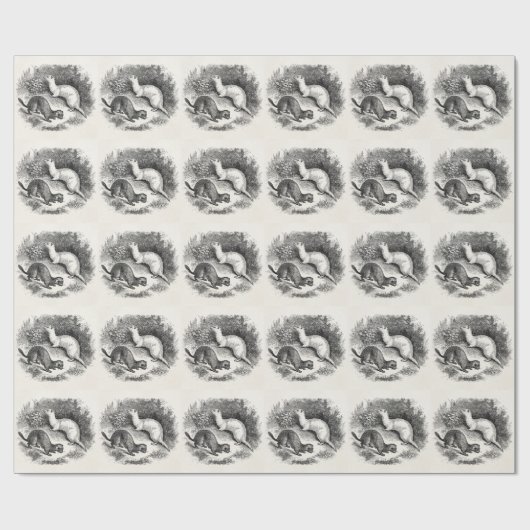  fret 1800s Fretten Weasels Minks Cadeaupapier (Vlak)