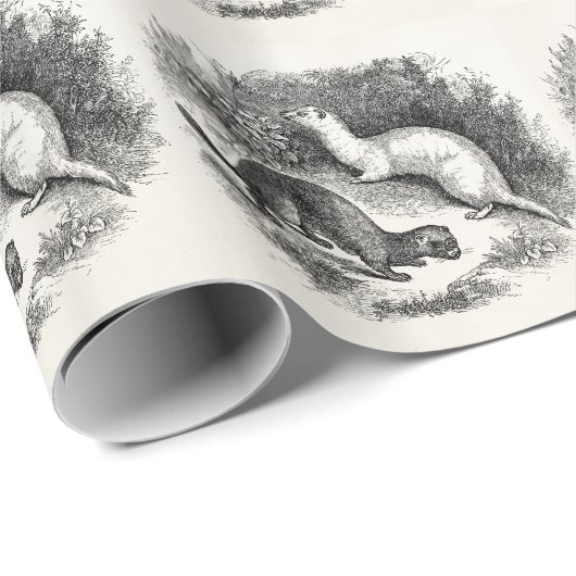  fret 1800s Fretten Weasels Minks Cadeaupapier (Rol Hoek)