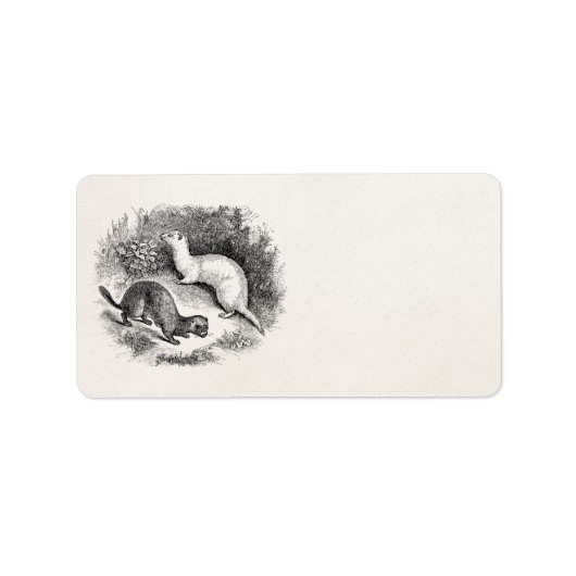  fret 1800s Fretten Weasels Minks Etiket (Voorkant)