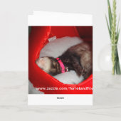 Fret in de Kerstkaart van het Pet van de Kerstman Feestdagen Kaart (Achterkant)