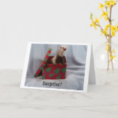 Fret in een Doos Notecards Kaart (Gele Bloem)