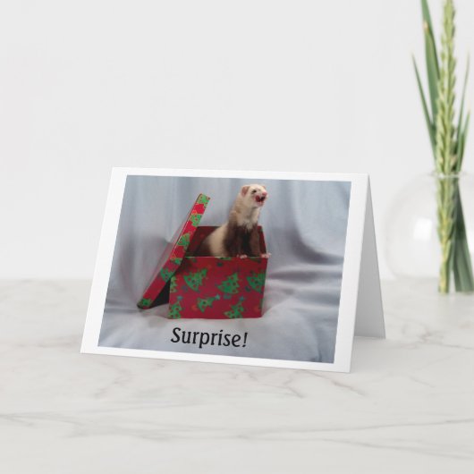 Fret in een Doos Notecards Kaart (Voorkant)