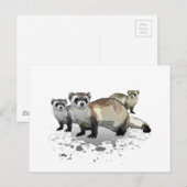 Fretten Briefkaart (Voorkant / Achterkant)