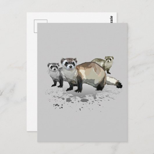 Fretten Briefkaart (Voorkant / Achterkant)