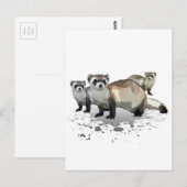 Fretten Briefkaart (Voorkant / Achterkant)