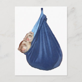 fretten in een slaapzak Briefkaart