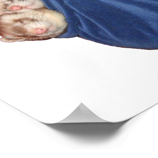 fretten in een slaapzak Poster (Hoek)