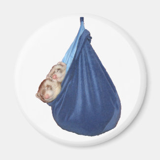 Fretten in een slaapzakmagneet magneet