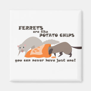Fretten lijken op aardappelchips Magnet