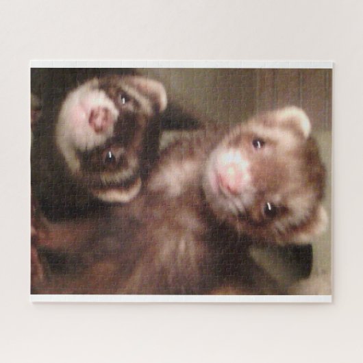 frettenpuzzel legpuzzel (Horizontaal)