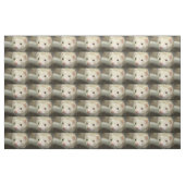 Fretvis gezicht stof (Fat Quarter)