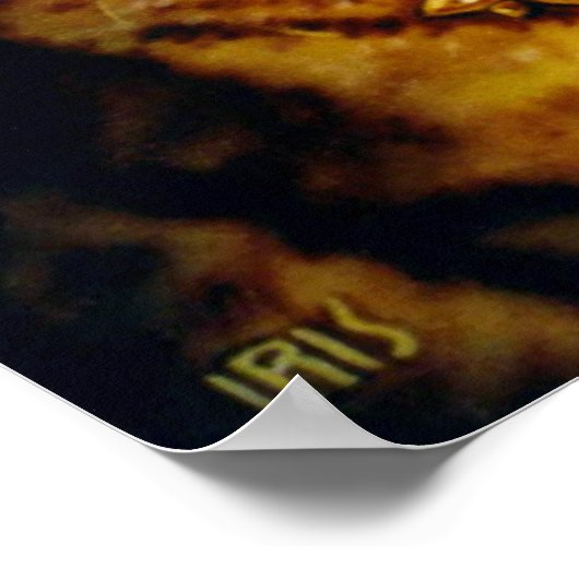 Freya van Lisa Iris Poster (Hoek)