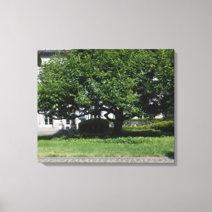 Frick Musuem Canvas Afdruk