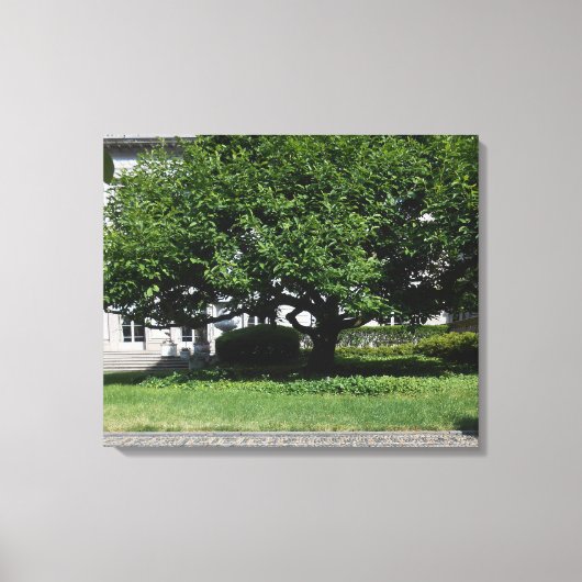 Frick Musuem Canvas Afdruk (Voorkant)