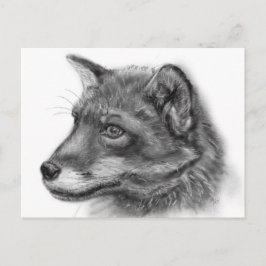 Frida, de Wee Scottish Fox. Briefkaart