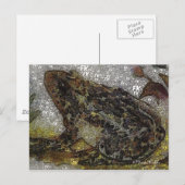 Frida Kahlo FK-stijl Kikkikkerschilfers Briefkaart (Voorkant / Achterkant)