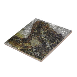 Frida Kahlo FK-stijl Kikkikkerschilfers Tegeltje