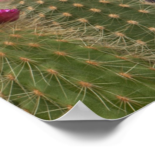 Frida Kahlo Kat Aap Kleurrijke Bloemen Collage Poster (Hoek)